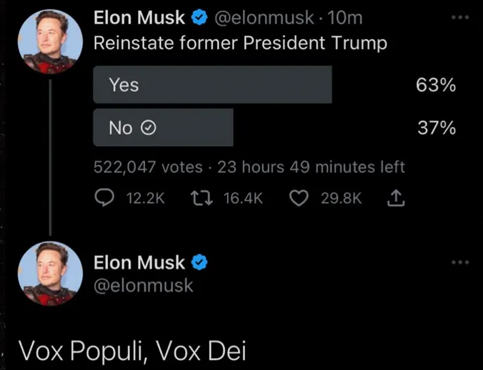 Elon Musk's Twitter Poll asking is Donald Trump should be reinstated.